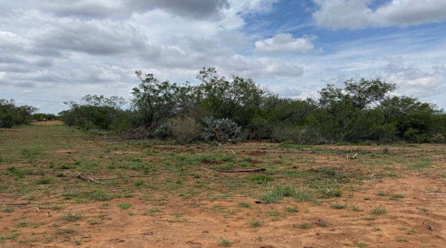 AB 27 Adams Beaty & Moulton SV-77, COTULLA, Texas 78014, ,Land,For Sale,AB 27 Adams Beaty & Moulton SV-77,20252303