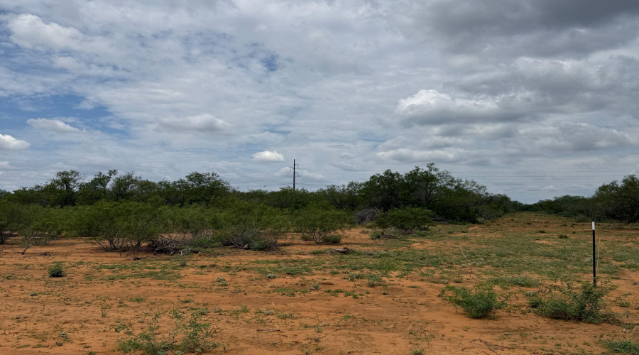 AB 27 Adams Beaty & Moulton SV-77, COTULLA, Texas 78014, ,Land,For Sale,AB 27 Adams Beaty & Moulton SV-77,20252303