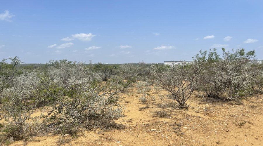 307 Muller Memorial Blvd, Laredo, Texas 78045-4119, ,Land,For Sale,307 Muller Memorial Blvd,20242212