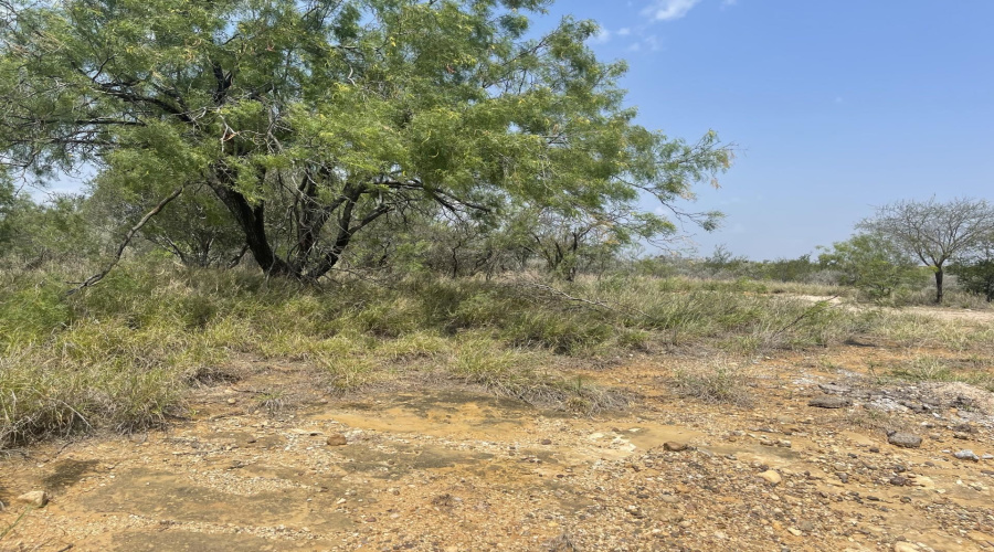 307 Muller Memorial Blvd, Laredo, Texas 78045-4119, ,Land,For Sale,307 Muller Memorial Blvd,20242212