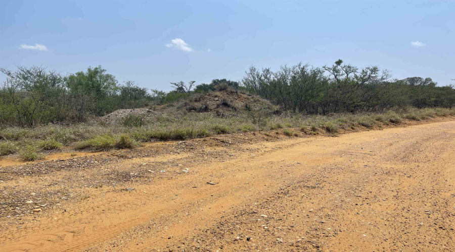307 Muller Memorial Blvd, Laredo, Texas 78045-4119, ,Land,For Sale,307 Muller Memorial Blvd,20242212