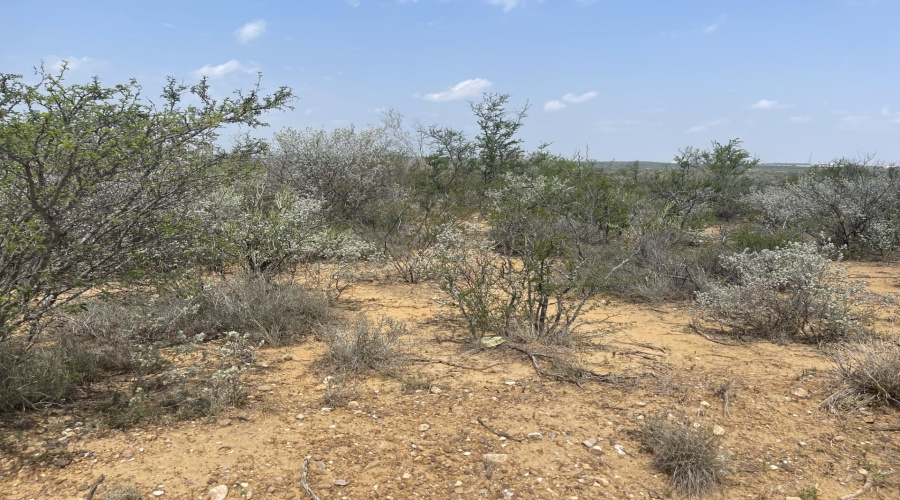 307 Muller Memorial Blvd, Laredo, Texas 78045-4119, ,Land,For Sale,307 Muller Memorial Blvd,20242212
