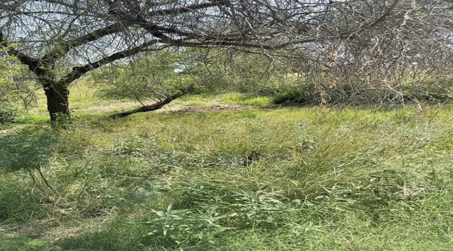 307 Muller Memorial Blvd, Laredo TX, Texas 78045-4119, ,Land,For Sale,307 Muller Memorial Blvd,20242125