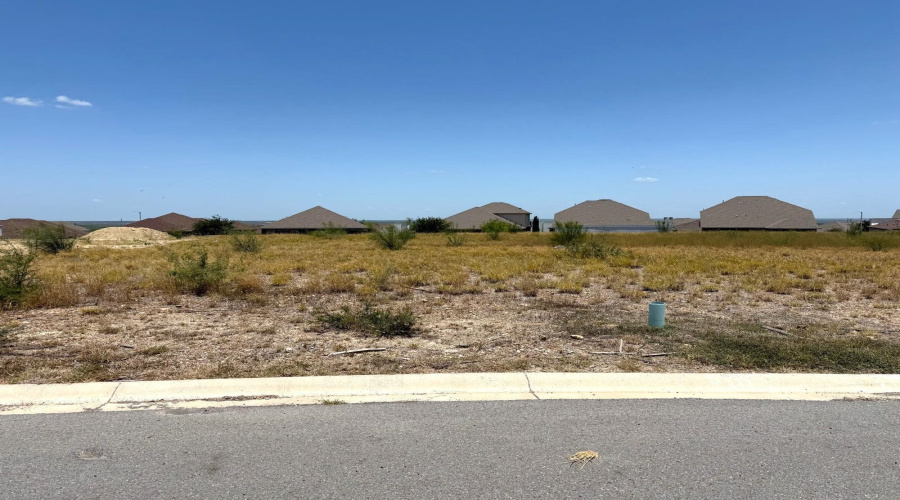 58 Finca Loop, Laredo, Texas 78045, ,Land,For Sale,58 Finca Loop,20252388