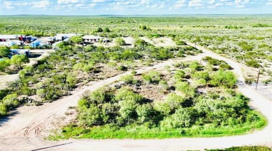 E Paredes, Laredo, Texas 78043, ,Land,For Sale,E Paredes,20252448