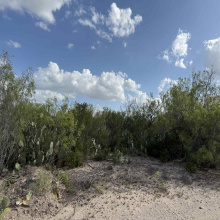 000 Las Pilas Rd., Laredo, Texas 78044, ,Land,For Sale,000 Las Pilas Rd.,20252618