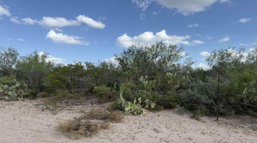 000 Las Pilas Rd., Laredo, Texas 78044, ,Land,For Sale,000 Las Pilas Rd.,20252618