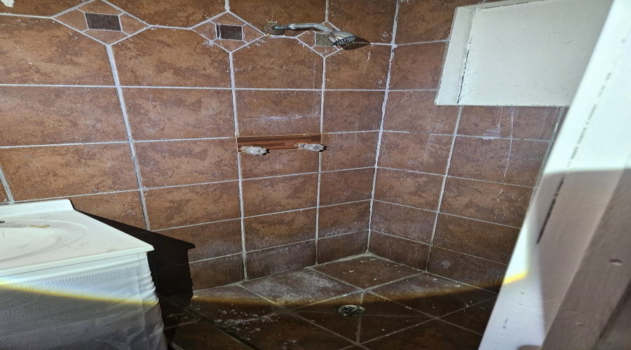 1712 San Eduardo Ave, Laredo, Texas 78040, 3 Bedrooms Bedrooms, 6 Rooms Rooms,2 BathroomsBathrooms,Residential,For Sale,1712 San Eduardo Ave,20252542 1712 San Eduardo Ave, Laredo, Texas 78040, 3 Bedrooms Bedrooms, 6 Rooms Rooms,2 BathroomsBathrooms,Residential,For Sale,1712 San Eduardo Ave,20252542