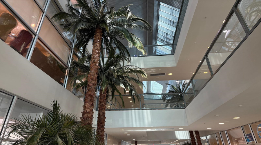 6999 McPherson Rd, LAREDO, Texas 78041, 51 Rooms Rooms,4 BathroomsBathrooms,Commercial retail/office,For Rent,6999 McPherson Rd,20252918