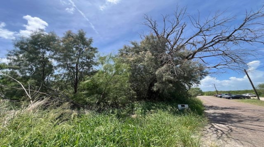 Lindner North of 3rd, MIRANDO, Texas 78369, ,Land,For Sale,Lindner North of 3rd,20252798