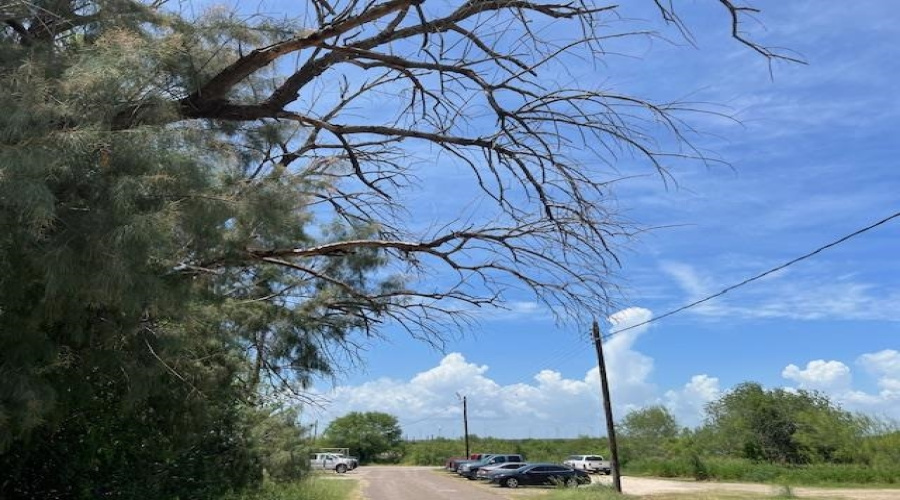 Lindner North of 3rd, MIRANDO, Texas 78369, ,Land,For Sale,Lindner North of 3rd,20252798