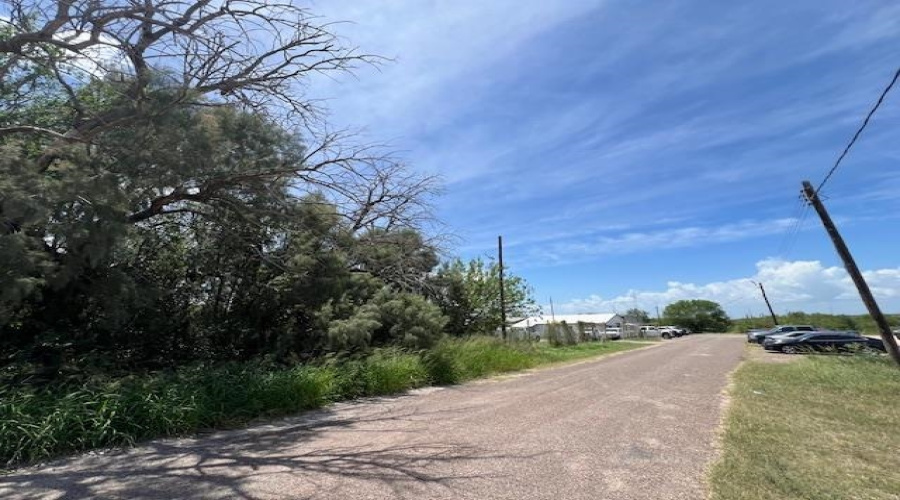 Lindner North of 3rd, MIRANDO, Texas 78369, ,Land,For Sale,Lindner North of 3rd,20252798