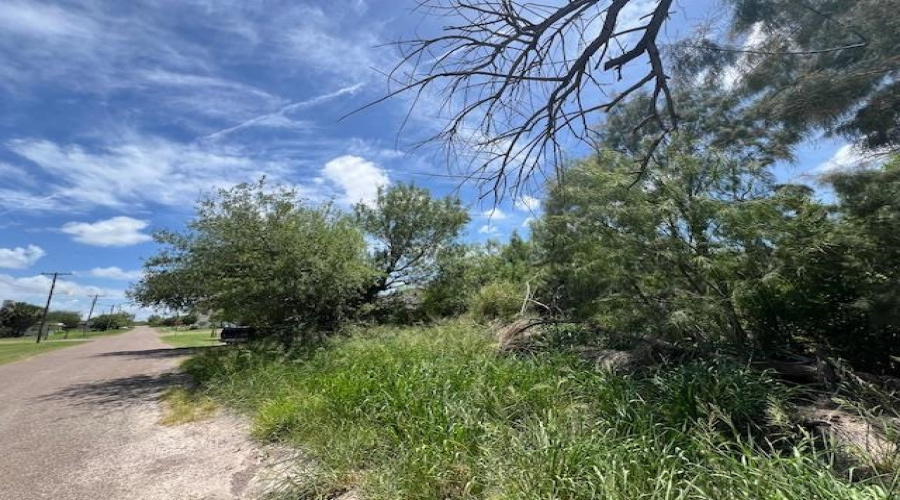 Lindner North of 3rd, MIRANDO, Texas 78369, ,Land,For Sale,Lindner North of 3rd,20252798