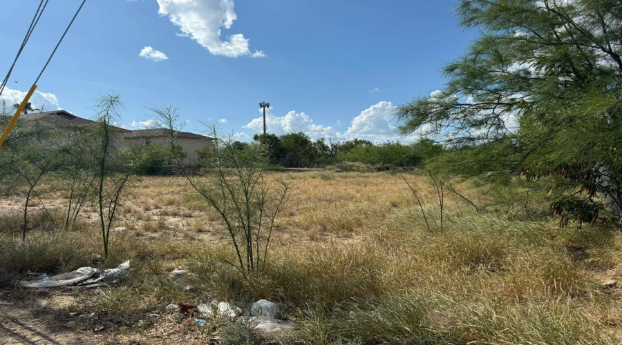 Canada & O'Kane, Laredo, Texas 78043, ,Land,For Sale,Canada & O'Kane,20252835