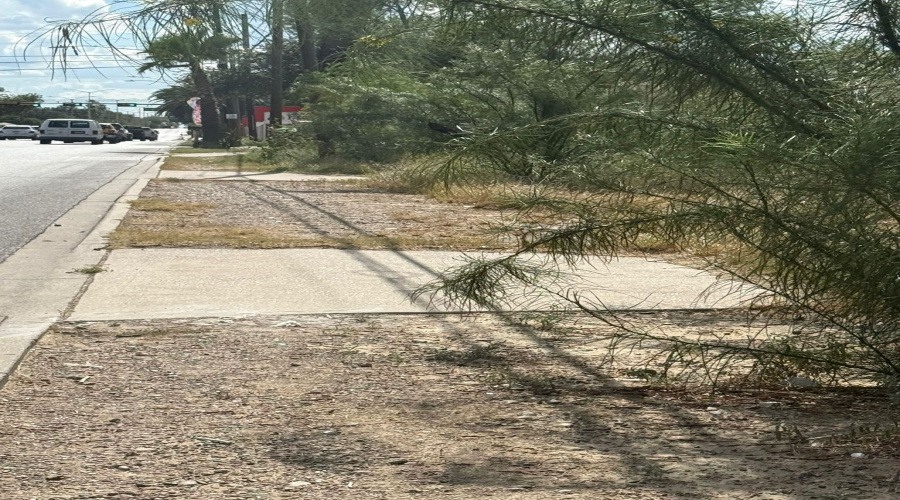 Canada & O'Kane, Laredo, Texas 78043, ,Land,For Sale,Canada & O'Kane,20252835