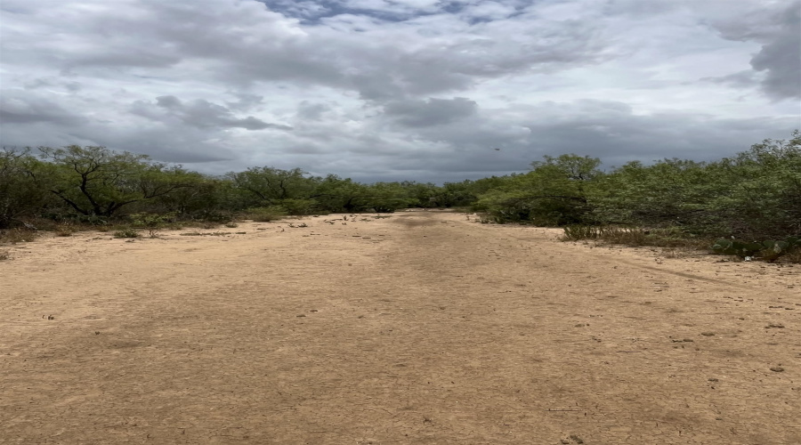 856 Martinena Rd., Encinal, Texas 78019, ,Land,For Sale,856 Martinena Rd.,20252850