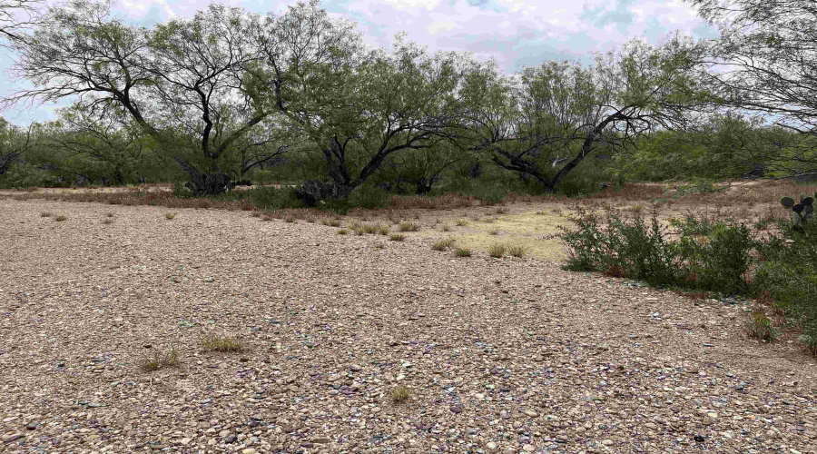 856 Martinena Rd., Encinal, Texas 78019, ,Land,For Sale,856 Martinena Rd.,20252850