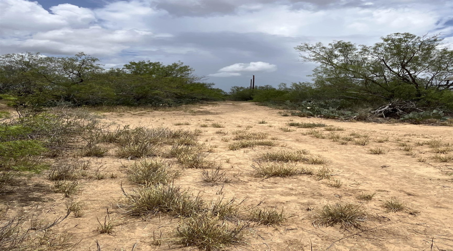 856 Martinena Rd., Encinal, Texas 78019, ,Land,For Sale,856 Martinena Rd.,20252850