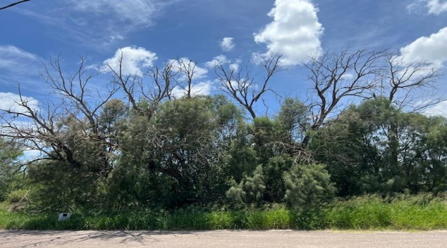 Lindner South of RR Tracks., MIRANDO, Texas 78369, ,Land,For Sale,Lindner South of RR Tracks.,20252872