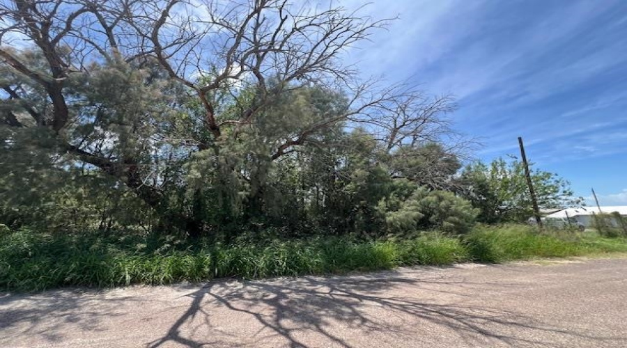 Lindner South of RR Tracks., MIRANDO, Texas 78369, ,Land,For Sale,Lindner South of RR Tracks.,20252872