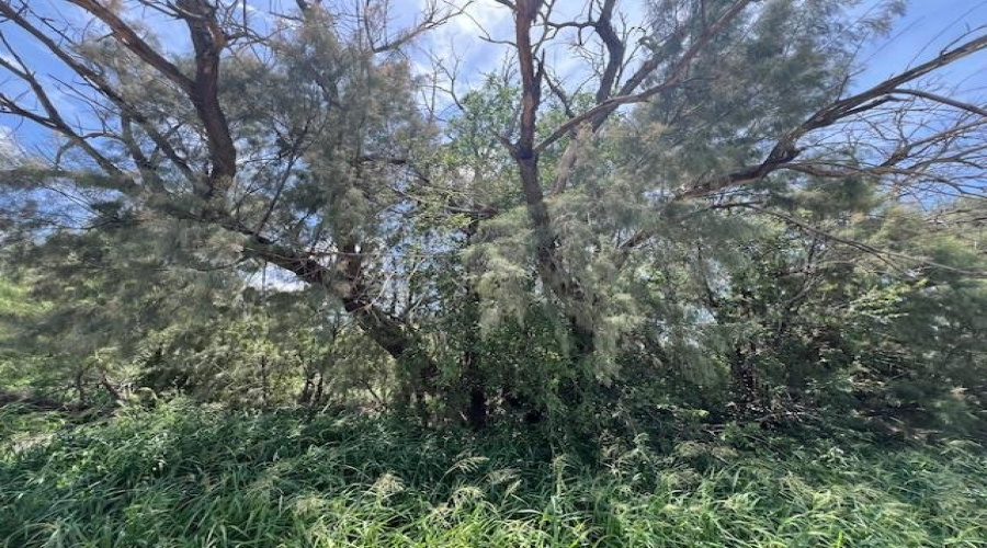 Lindner South of RR Tracks., MIRANDO, Texas 78369, ,Land,For Sale,Lindner South of RR Tracks.,20252872