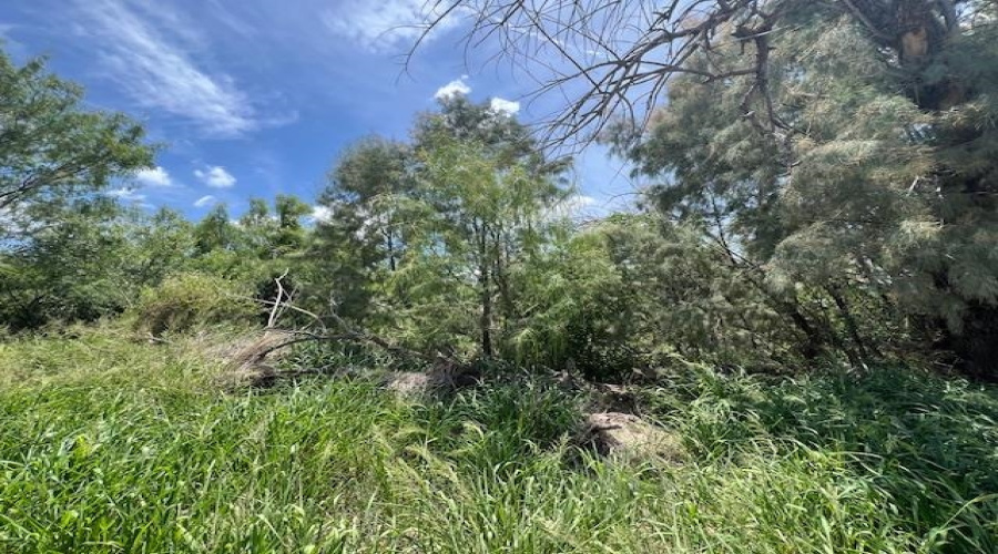 Lindner South of RR Tracks., MIRANDO, Texas 78369, ,Land,For Sale,Lindner South of RR Tracks.,20252872