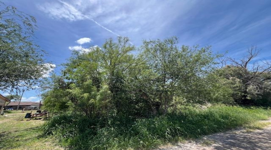 Lindner South of RR Tracks., MIRANDO, Texas 78369, ,Land,For Sale,Lindner South of RR Tracks.,20252872