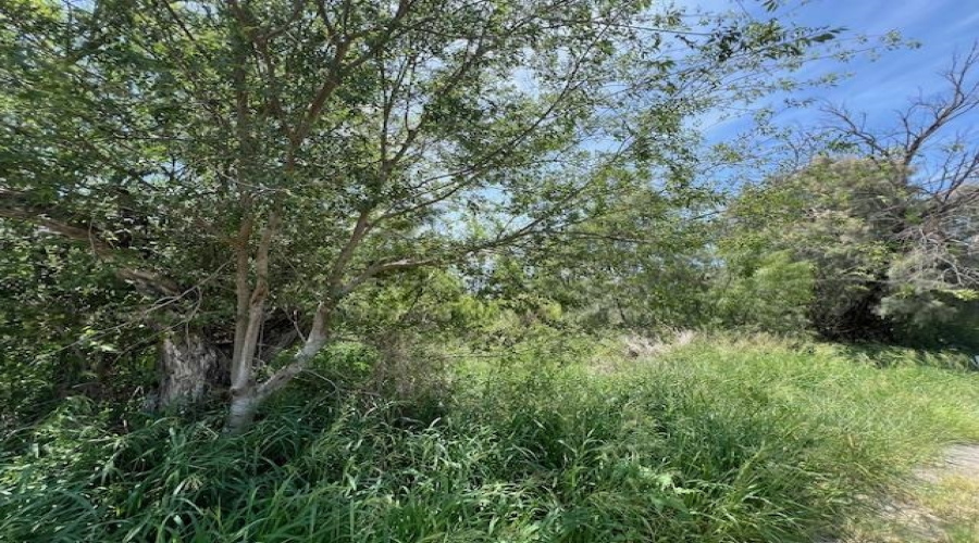 Lindner South of RR Tracks., MIRANDO, Texas 78369, ,Land,For Sale,Lindner South of RR Tracks.,20252872