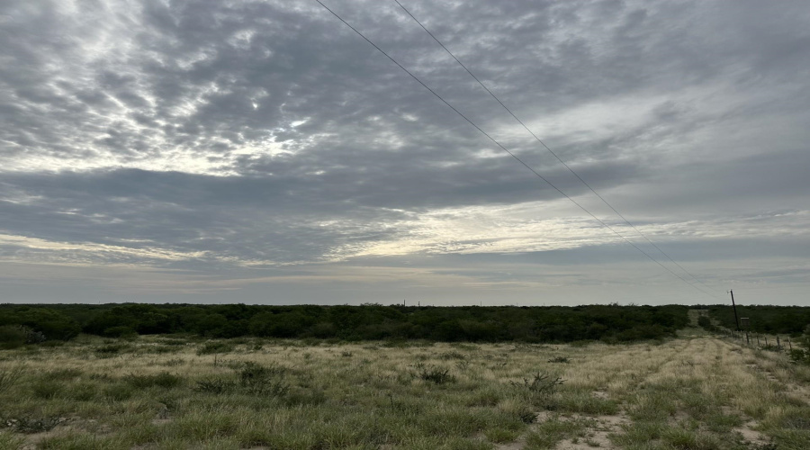 3441 S US Highway 83, Zapata, Texas 78076, ,Land,For Sale,3441 S US Highway 83,20252926