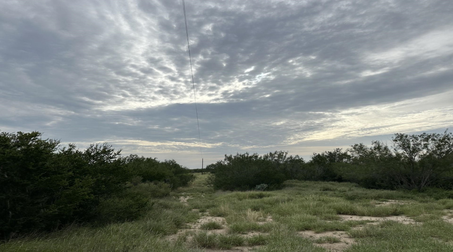 3441 S US Highway 83, Zapata, Texas 78076, ,Land,For Sale,3441 S US Highway 83,20252926