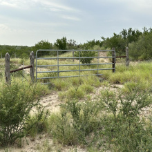 3441 S US Highway 83, Zapata, Texas 78076, ,Land,For Sale,3441 S US Highway 83,20252927