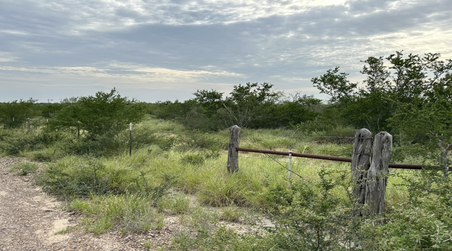 3441 S US Highway 83, Zapata, Texas 78076, ,Land,For Sale,3441 S US Highway 83,20252927