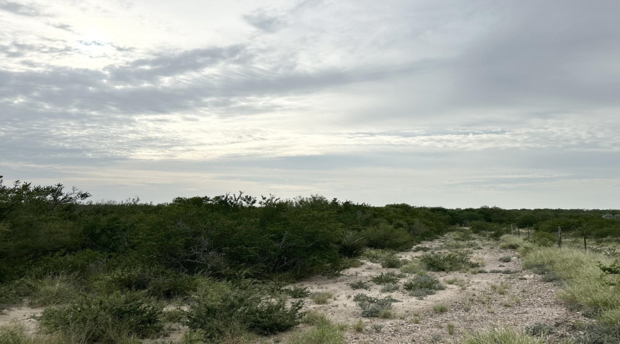 3441 S US Highway 83, Zapata, Texas 78076, ,Land,For Sale,3441 S US Highway 83,20252927