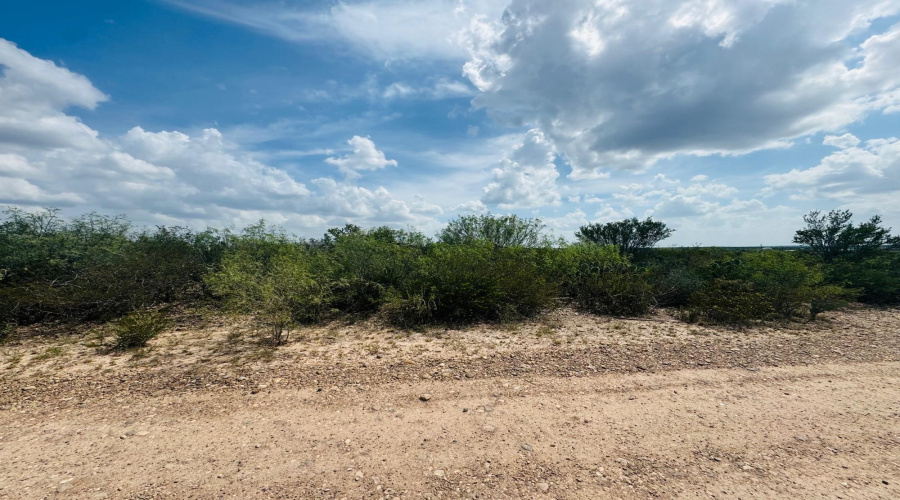 166 Camino Sierra Rd., Laredo, Texas 78043, ,Land,For Sale,166 Camino Sierra Rd.,20253094