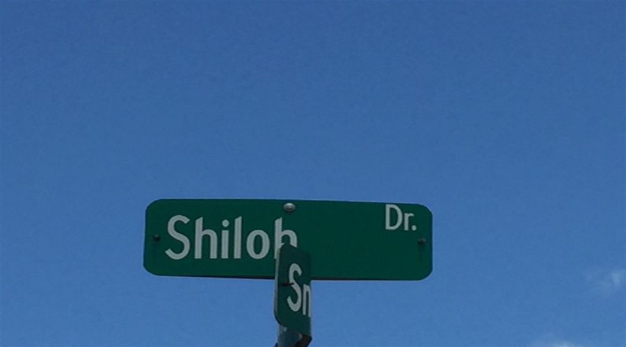 001 Shiloh Dr, Laredo, Texas 78045, ,Land,For Sale,001 Shiloh Dr,20253118