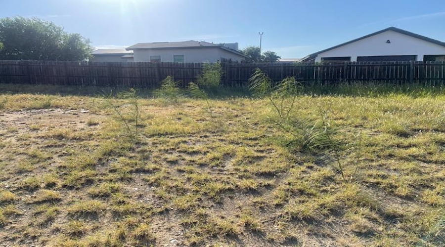 2001 Durango Ave, Laredo, Texas 78046-5555, ,Land,For Sale,2001 Durango Ave,20253139