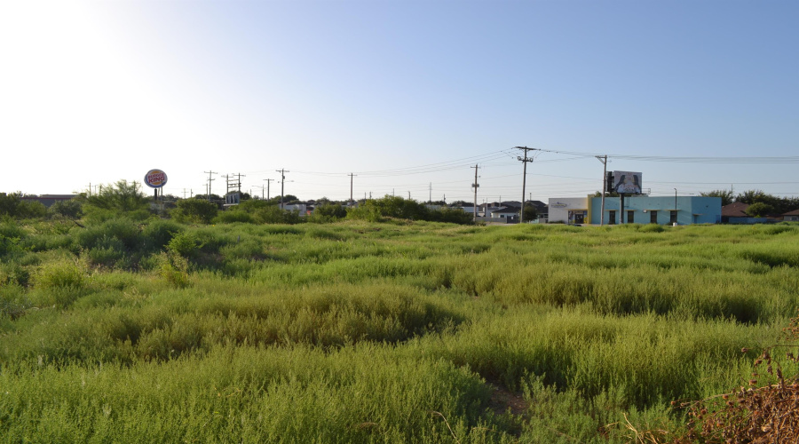 000 Shiloh Dr, Laredo, Texas 78045, ,Land,For Sale,000 Shiloh Dr,20242733