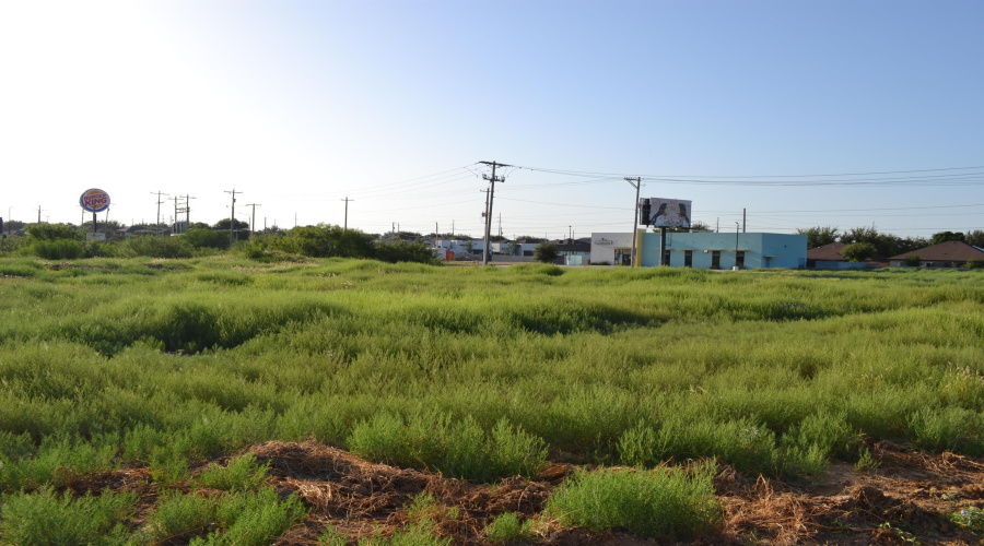 000 Shiloh Dr, Laredo, Texas 78045, ,Land,For Sale,000 Shiloh Dr,20242733