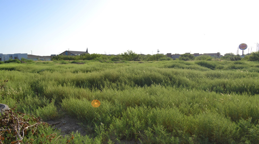 000 Shiloh Dr, Laredo, Texas 78045, ,Land,For Sale,000 Shiloh Dr,20242733