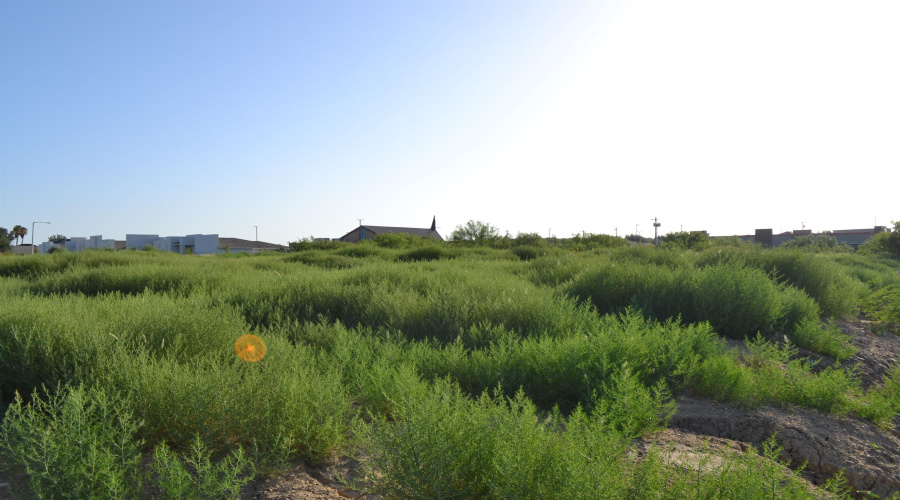 000 Shiloh Dr, Laredo, Texas 78045, ,Land,For Sale,000 Shiloh Dr,20242733