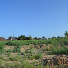 000 Shiloh Dr, Laredo, Texas 78045, ,Land,For Sale,000 Shiloh Dr,20242733