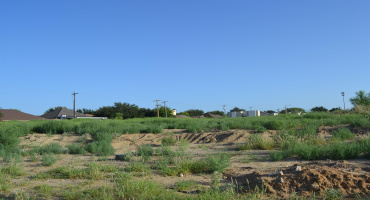 000 Shiloh Dr, Laredo, Texas 78045, ,Land,For Sale,000 Shiloh Dr,20242733