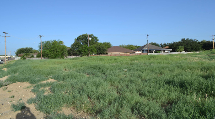 000 Shiloh Dr, Laredo, Texas 78045, ,Land,For Sale,000 Shiloh Dr,20242733
