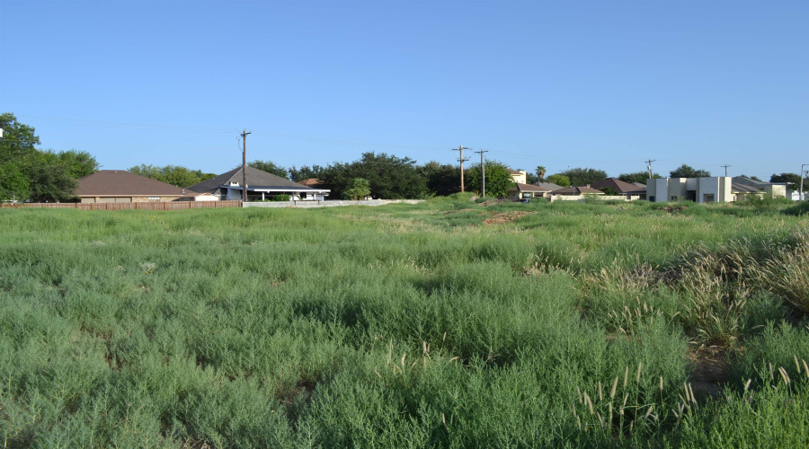 000 Shiloh Dr, Laredo, Texas 78045, ,Land,For Sale,000 Shiloh Dr,20242733