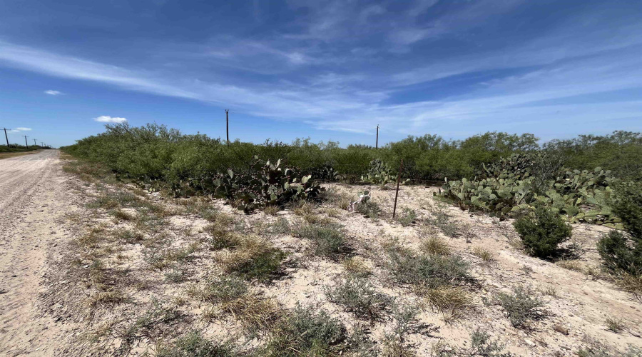 Camino del Este, Laredo, Texas 78041, ,Land,For Sale,Camino del Este,20253214