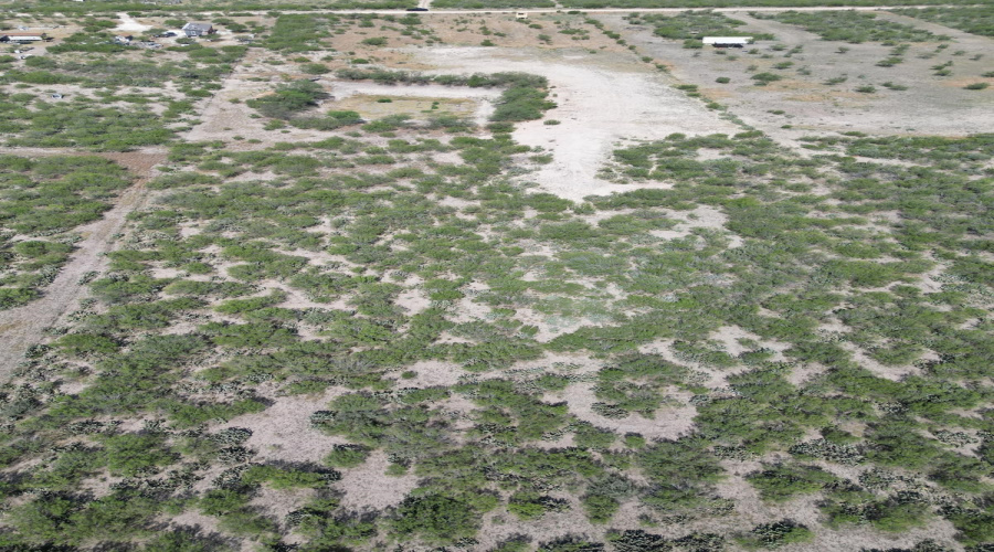Camino del Este, Laredo, Texas 78041, ,Land,For Sale,Camino del Este,20253214