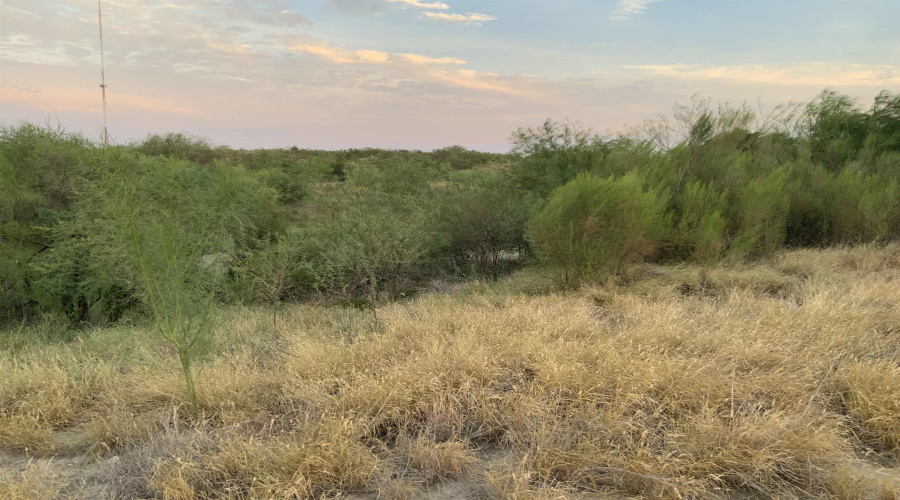 167 W Cobalt Mine Rd., LAREDO, Texas 78046, ,Land,For Sale,167 W Cobalt Mine Rd.,20253367