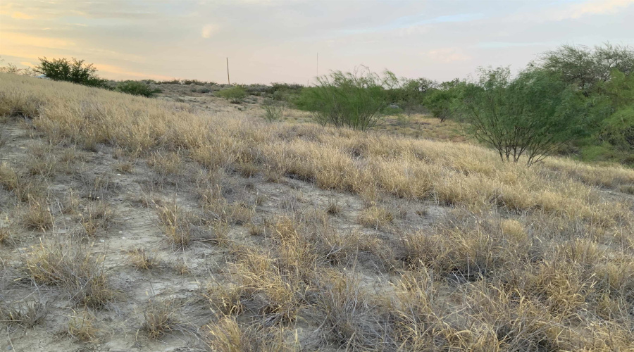 167 W Cobalt Mine Rd., LAREDO, Texas 78046, ,Land,For Sale,167 W Cobalt Mine Rd.,20253367