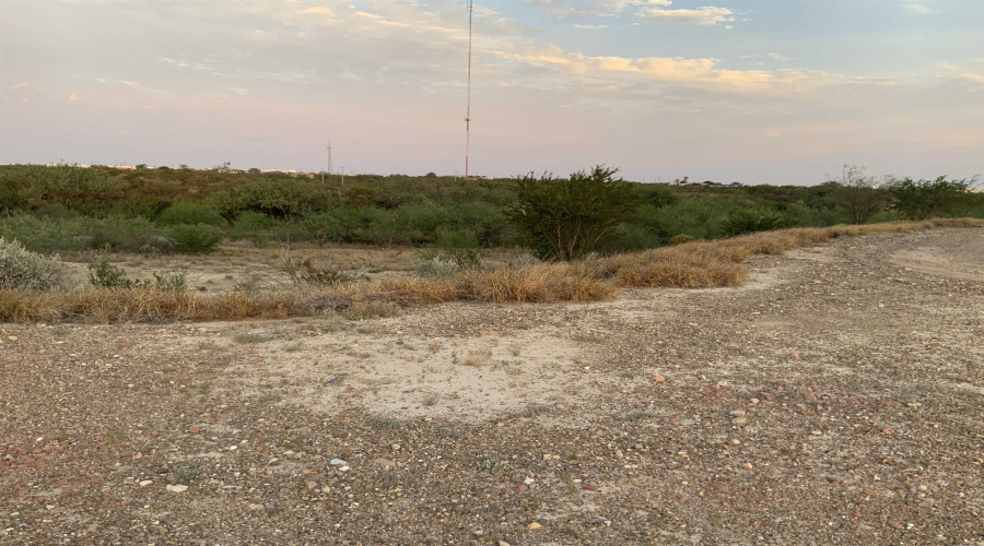 167 W Cobalt Mine Rd., LAREDO, Texas 78046, ,Land,For Sale,167 W Cobalt Mine Rd.,20253367