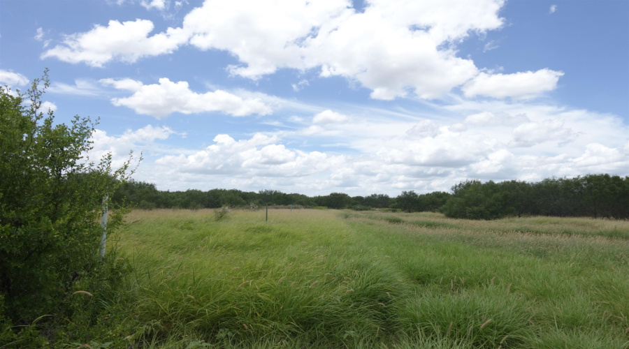 2247 FM 1025, Crystal City, Texas 78839, ,Land,For Sale,2247 FM 1025,20253377